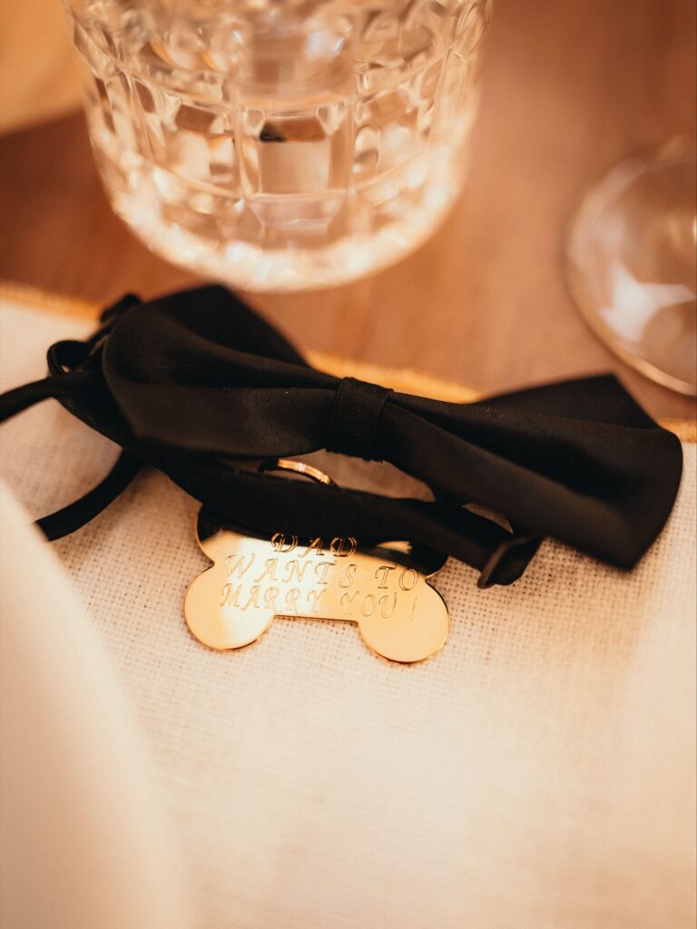 الكلب الأليف ليو يشارك في عرض الزواج بلوحة كتب عليها بابا يريد الزواج منك