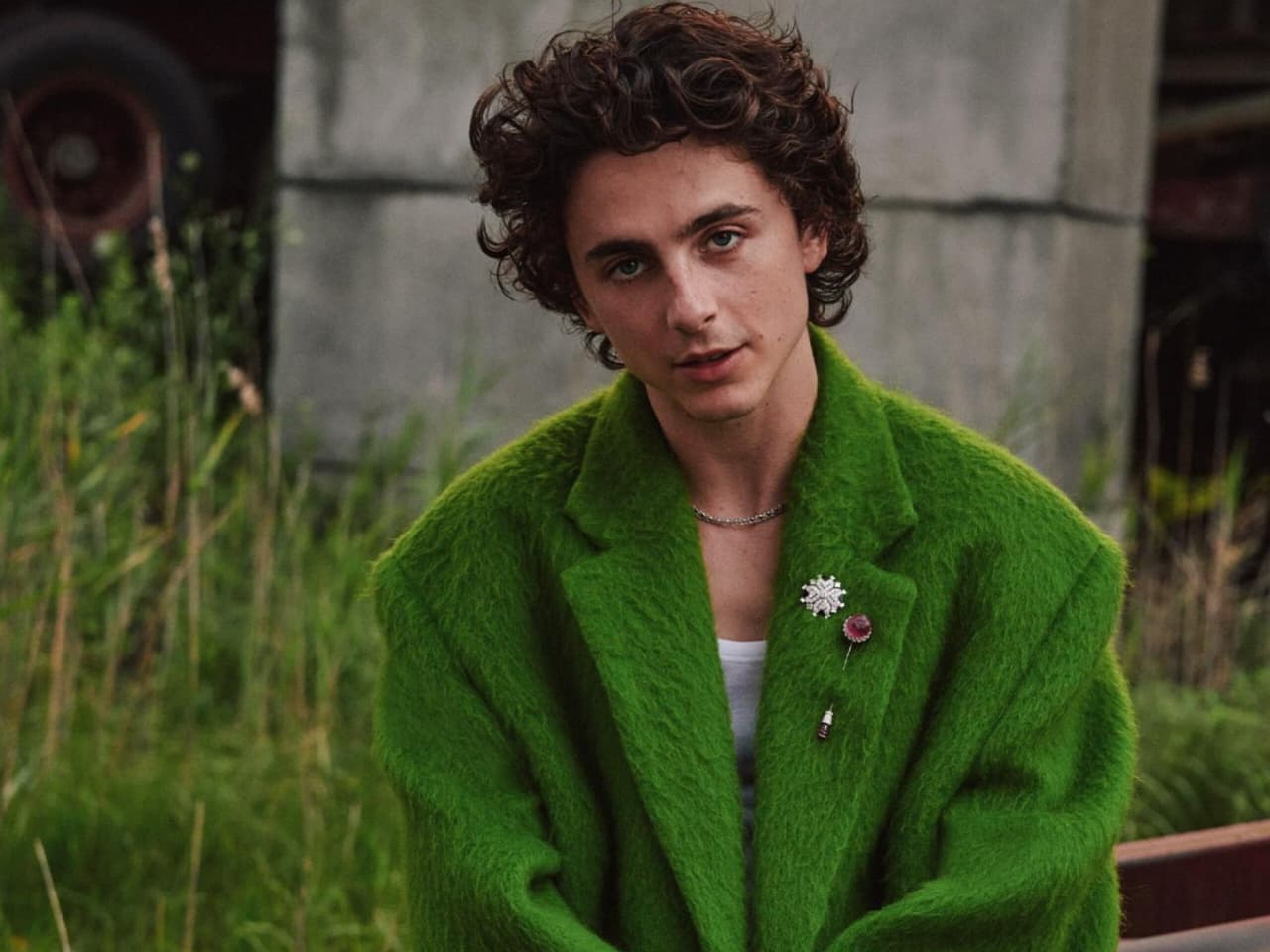 ثيموثي شالاميه: من Call Me by Your Name إلى Dune 3… رحلة نجم يعيد تعريف هوليوود